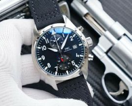 Picture of IWC Watch _SKU1711845197231531